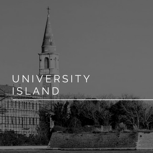 concorso YAC university island